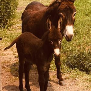 Meet your Posher, Ellen